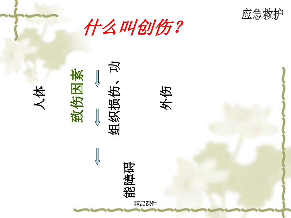 创伤应急救护_第2页