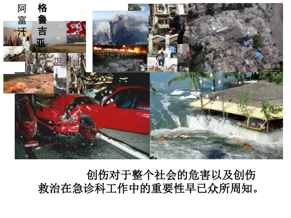 创伤致死三联征_第2页
