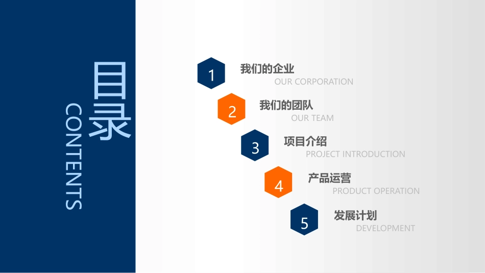 创业融资商业计划书_第2页