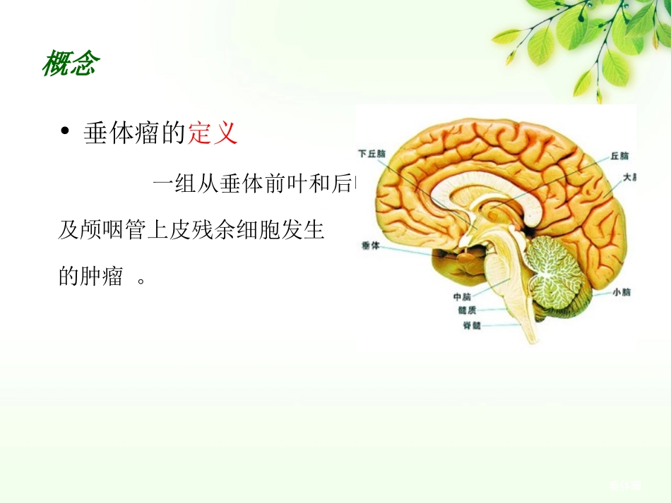 垂体瘤护理查房_第3页