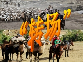 垂直地域分异规律