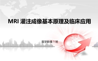 磁共振灌注成像课件