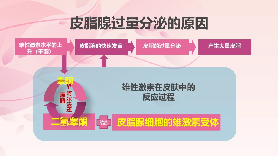 痤疮的分级治疗西医_第3页