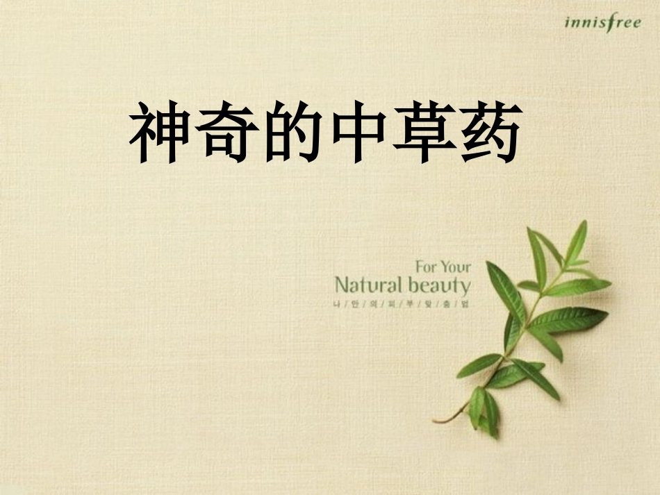 大班科学-神奇的中草药_第1页