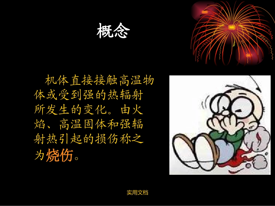 大面积烧伤的处置及植皮术_第3页