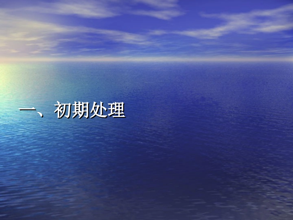 大面积烧伤抢救和治疗_第3页