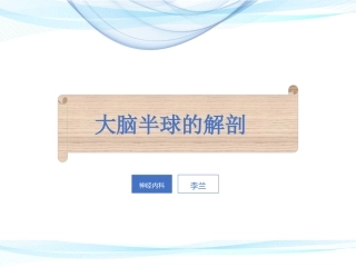 大脑半球的解剖