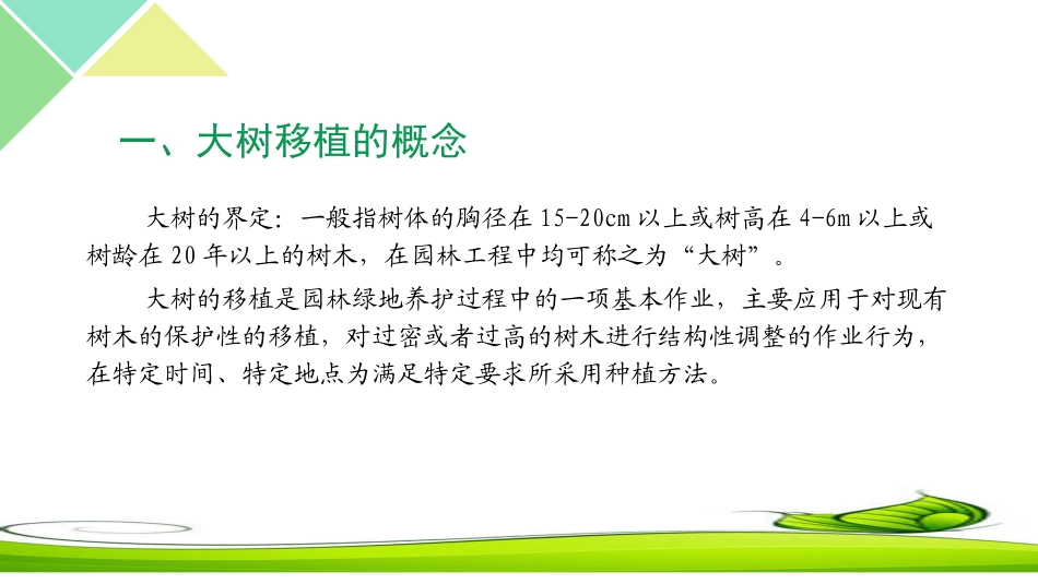 大树移植技术和后期养护_第2页