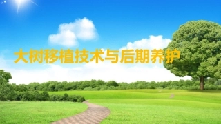 大树移植技术和后期养护