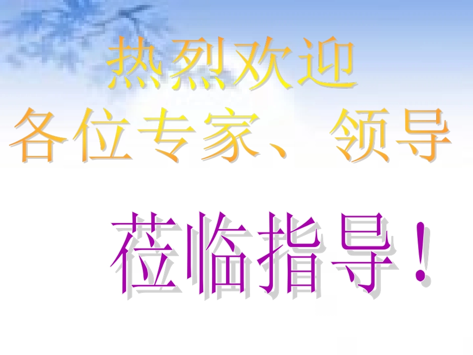 大悬壁盖梁专项施工方案评审会_第1页
