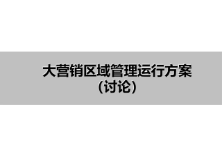 大营销区域管理运营方案讨论稿