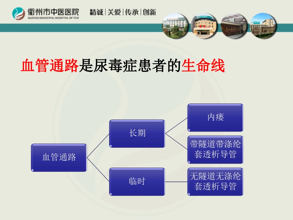 带隧道带涤纶套透析导管植入_第2页