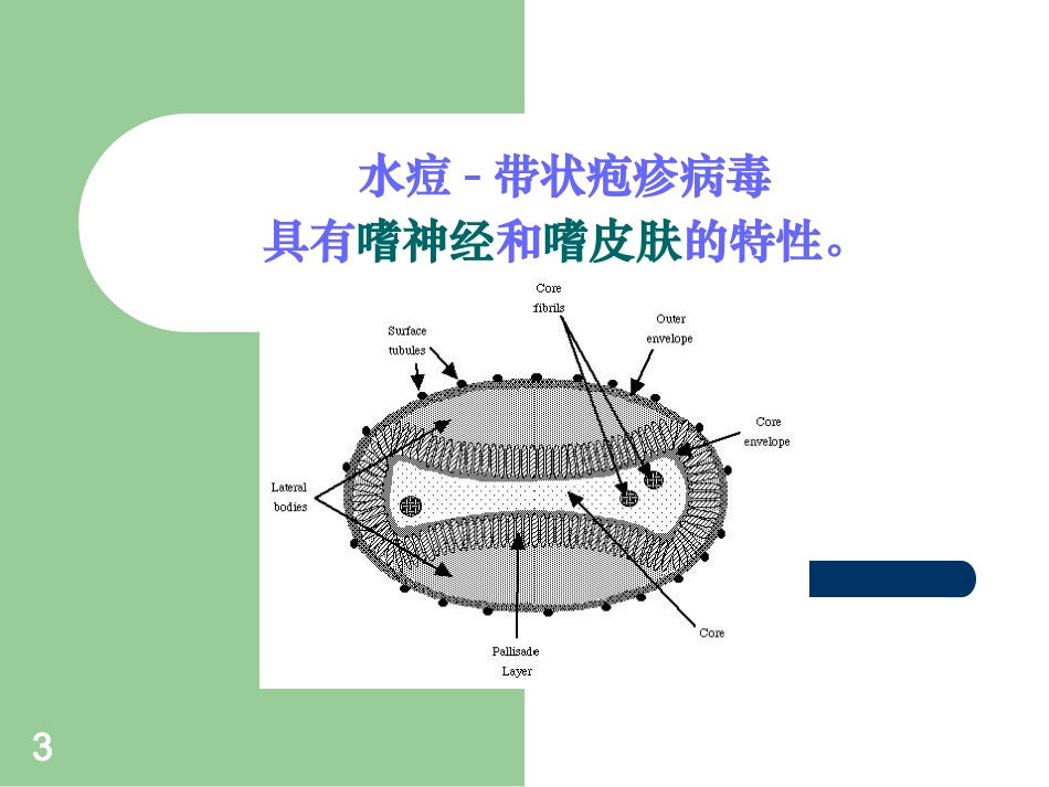 带状疱疹健康教育课件_第3页