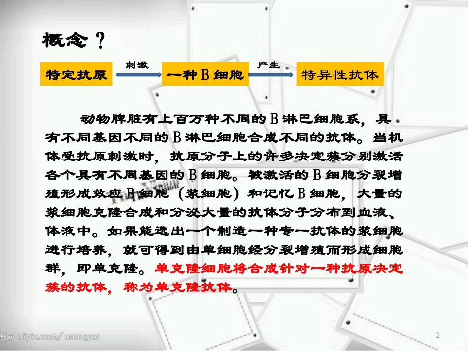 单克隆抗体的应用前景课件_第2页