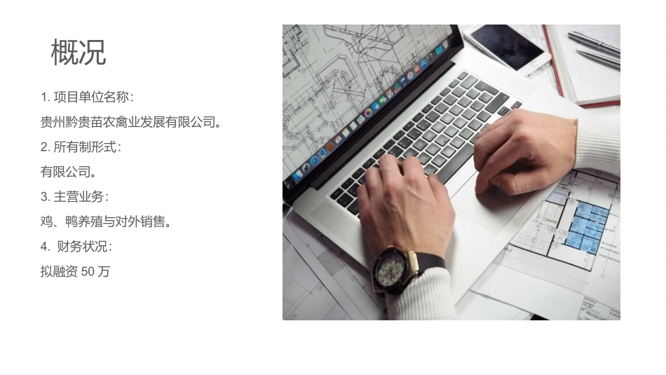 蛋鸭养殖可行性研究报告_第2页