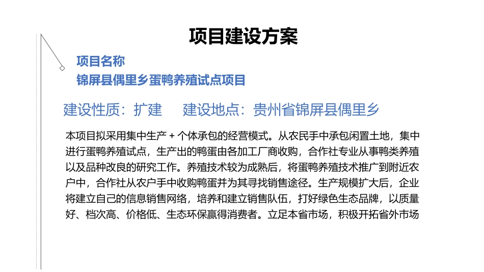 蛋鸭养殖可行性研究报告_第3页