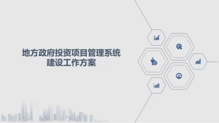 地方政府投资项目管理系统建设工作方案