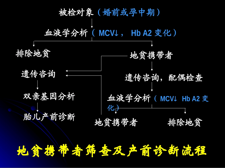 地中海贫血的分子基础及产前诊疗_第3页