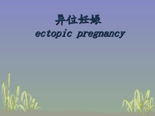 的教学查房异位妊娠