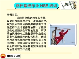 登杆作业培训