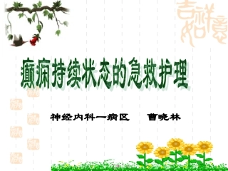癫痫持续状态发作急救护理