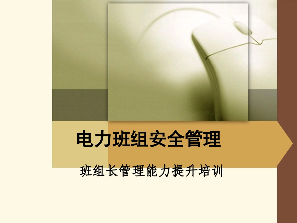 电力班组安全管理_第1页