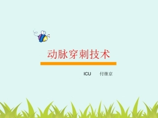 动脉穿刺技术