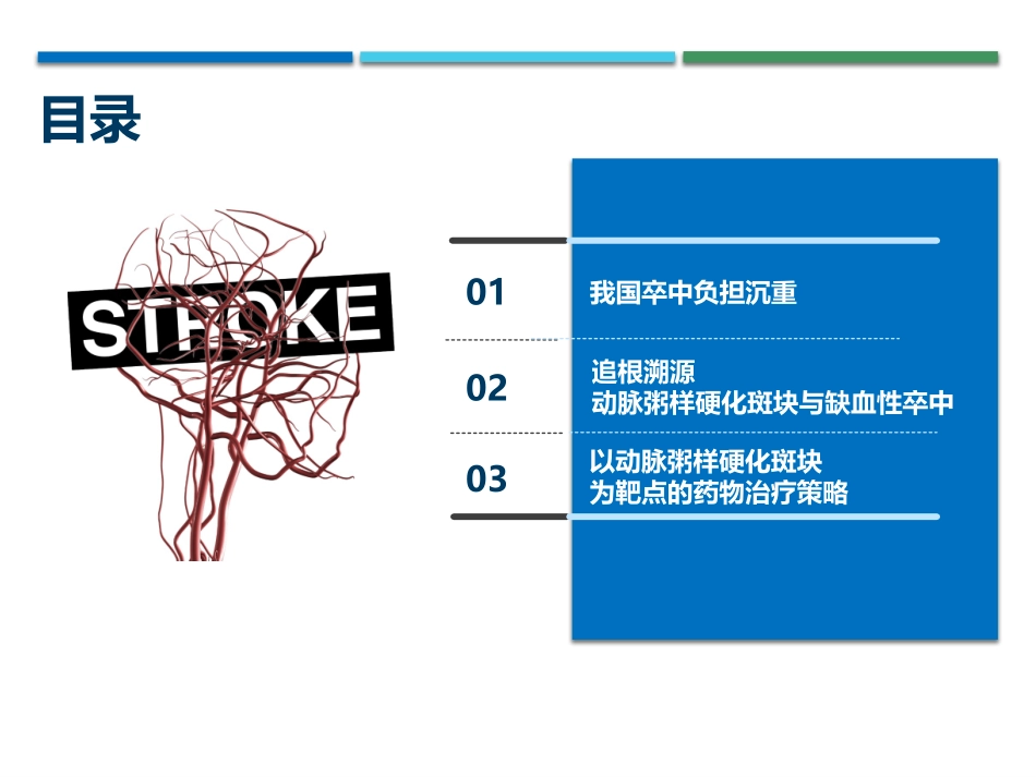 动脉粥样硬化斑块和缺血性卒中_第2页