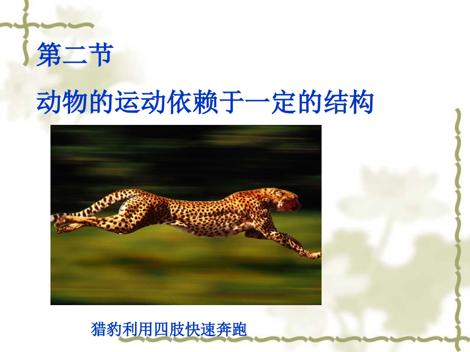 动物的运动依赖于一定的运动结构_第1页