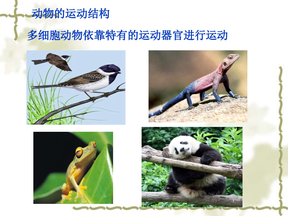 动物的运动依赖于一定的运动结构_第3页