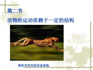 动物的运动依赖于一定的运动结构