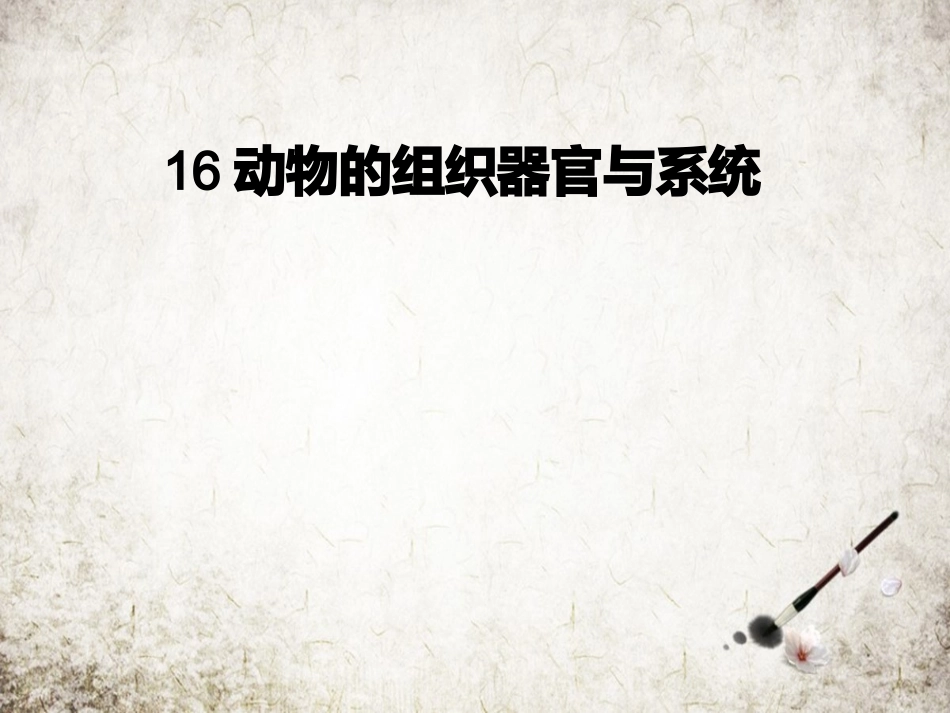 动物的组织器官和系统_第1页