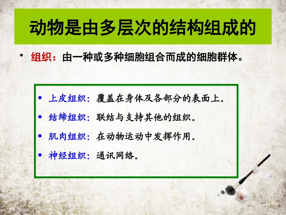 动物的组织器官和系统_第3页