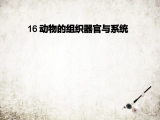 动物的组织器官和系统