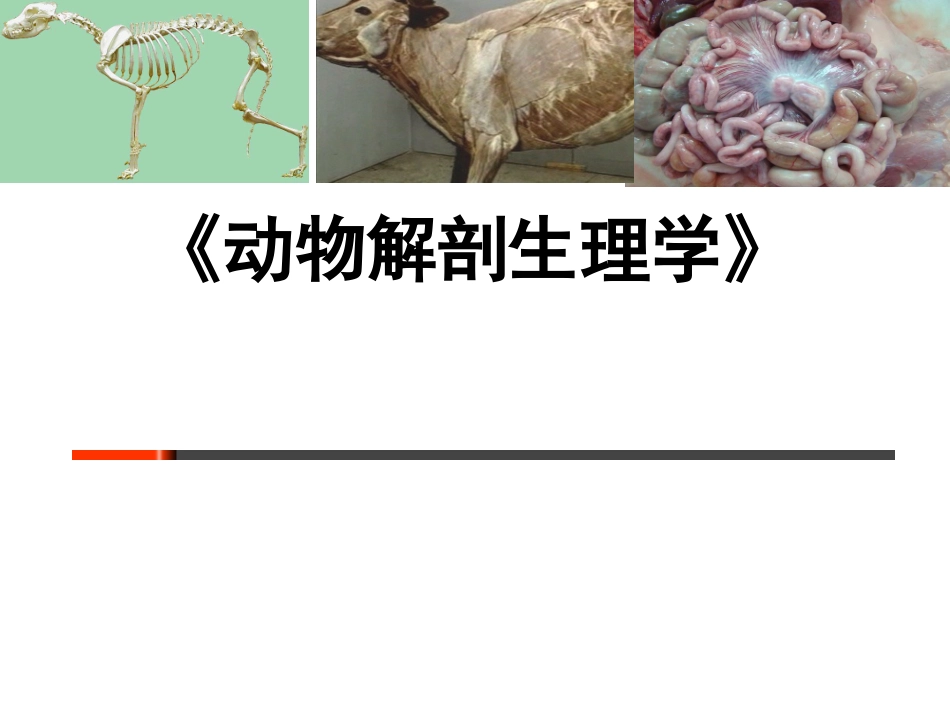 动物解剖生理动物体基本结构_第1页