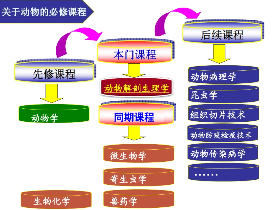 动物解剖生理动物体基本结构_第2页