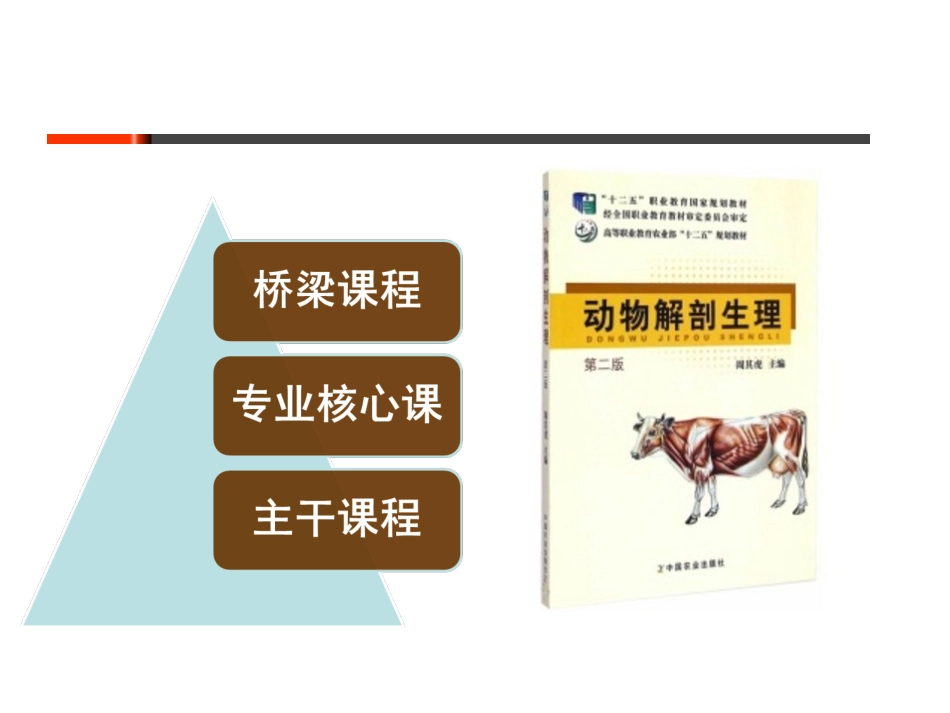 动物解剖生理动物体基本结构_第3页