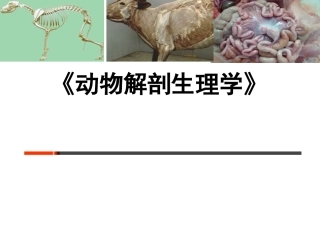 动物解剖生理动物体基本结构