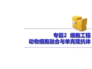 动物细胞融合和单克隆抗体市优质公开课课件