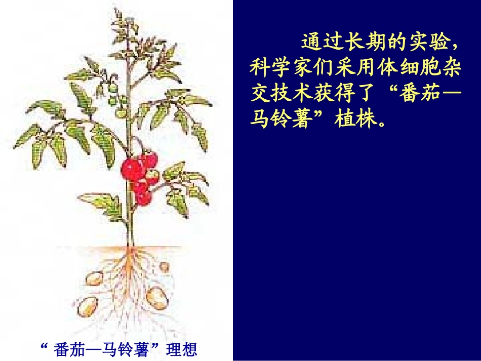 动物细胞融合和单克隆抗体专家讲座_第1页