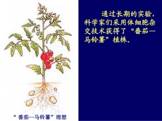 动物细胞融合和单克隆抗体专家讲座