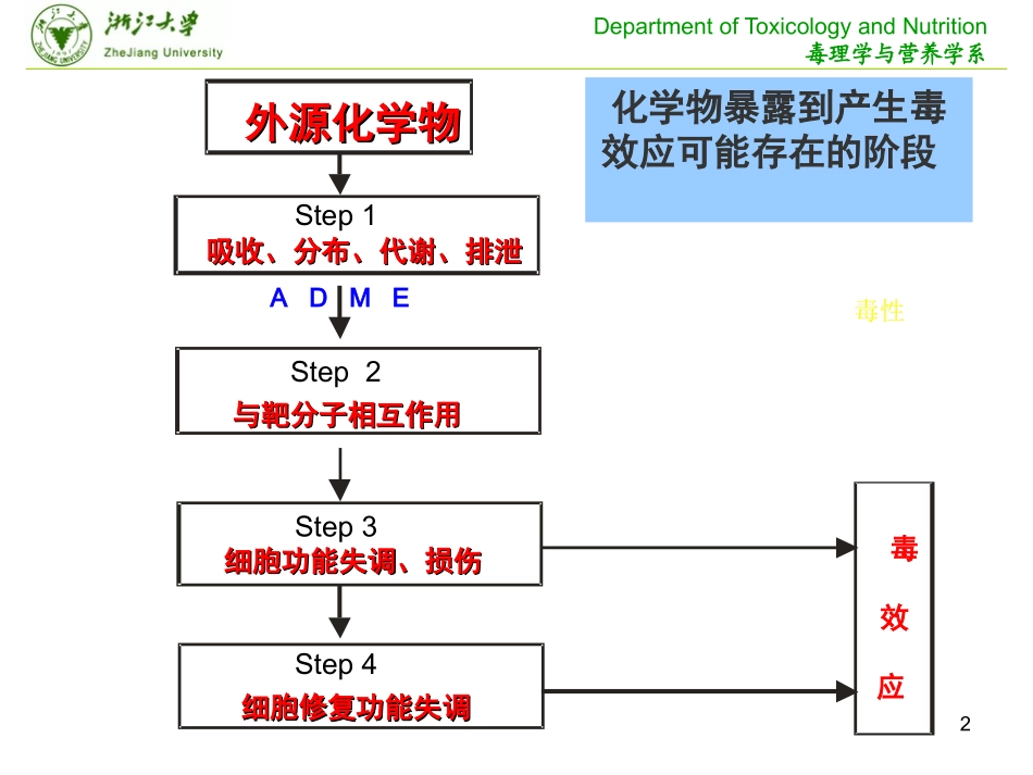毒理学毒作用机制_第2页