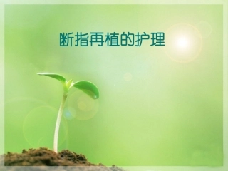 断指再植的护理