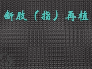 断指肢再植剖析