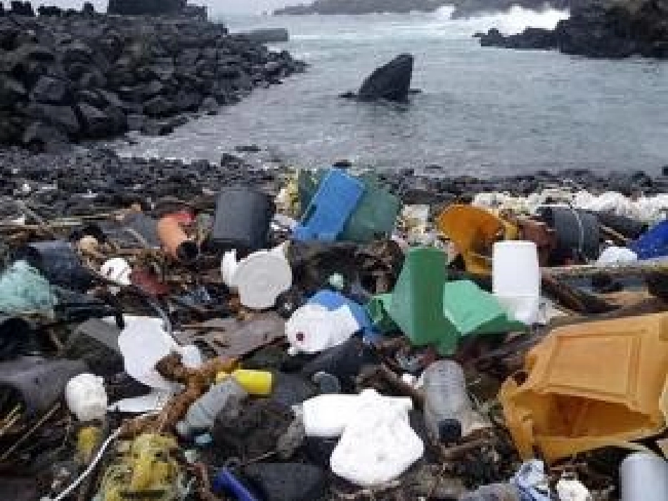 对白色污染说不_第1页