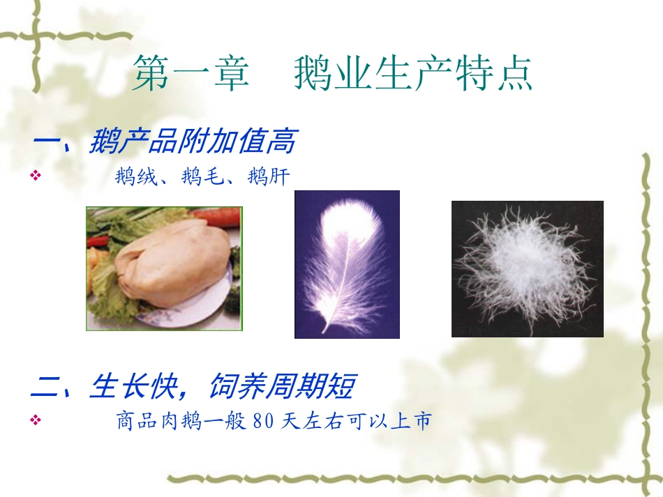 鹅的养殖技术_第3页