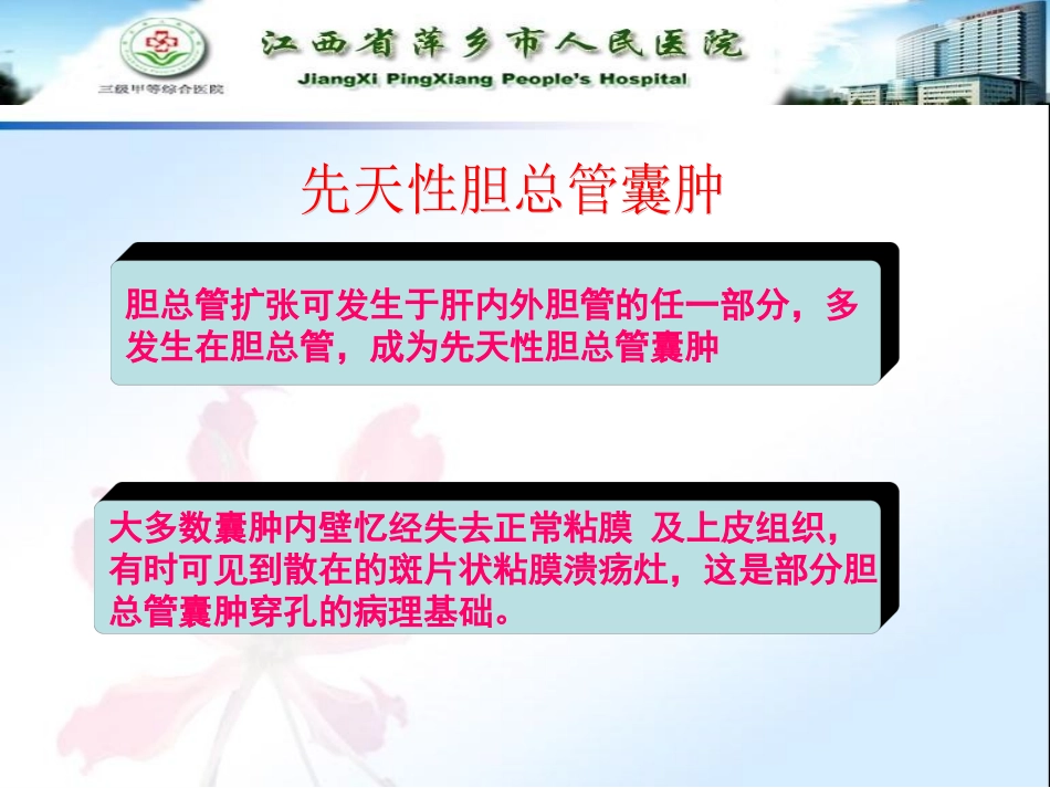 儿童腹部超声诊疗_第3页