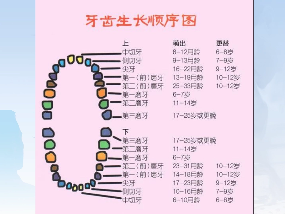 儿童口腔保健课件_第2页