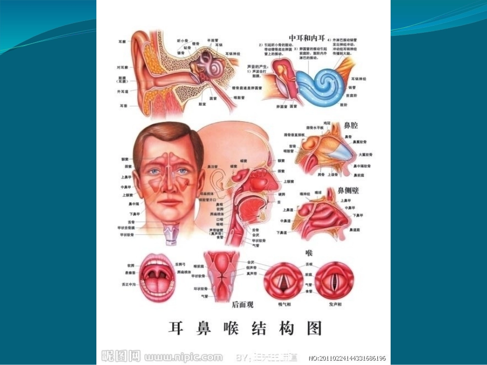耳鼻咽喉头颈外科发展史分析课件_第3页