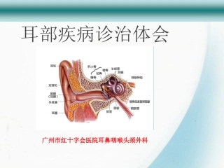 耳部疾病诊疗体会